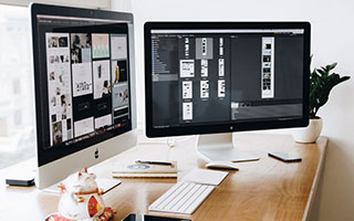 imtoken官网：探秘 imToken 与云斗龙的奇妙世界